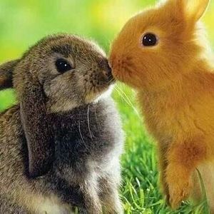 Meet your Posher, Cristina